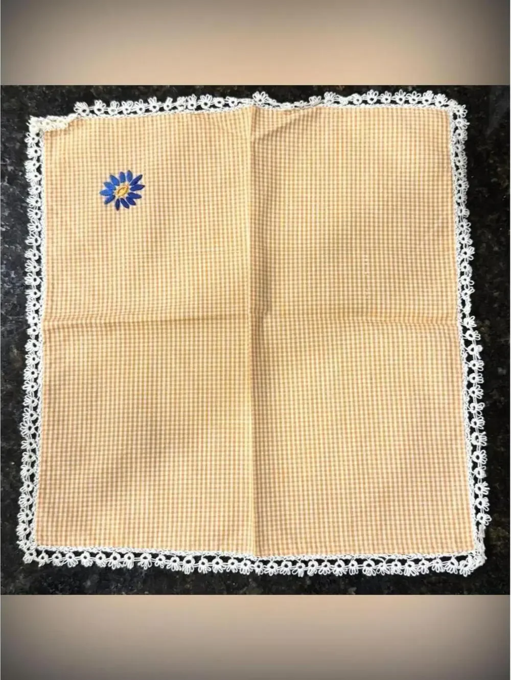 Vintage Orange Gingham Cloth Napkins with Hand-Embroidered Blue Daisy